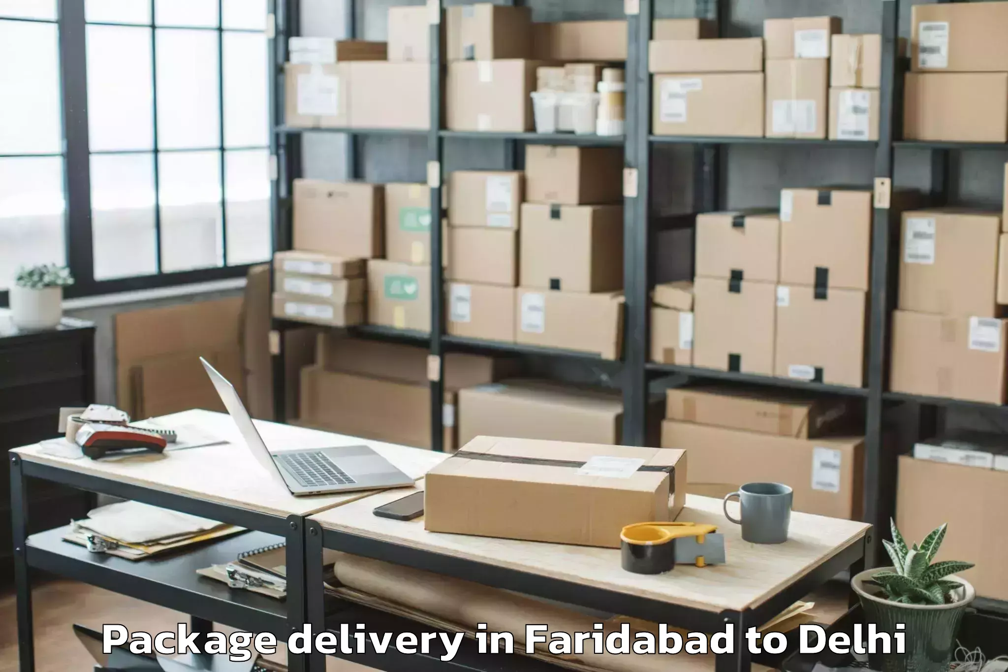 Book Faridabad to South Asian University New Del Package Delivery Online